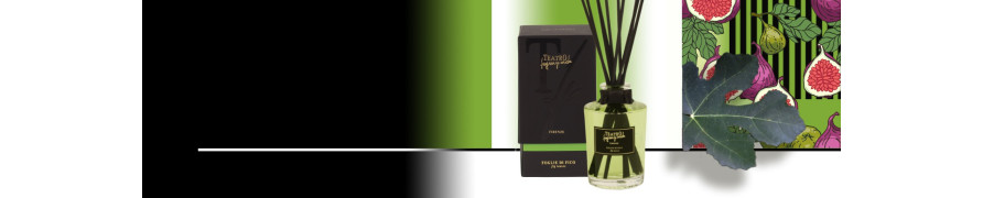 Buy Our Home Fragrance Diffusers with Fig Leaves Scent Online